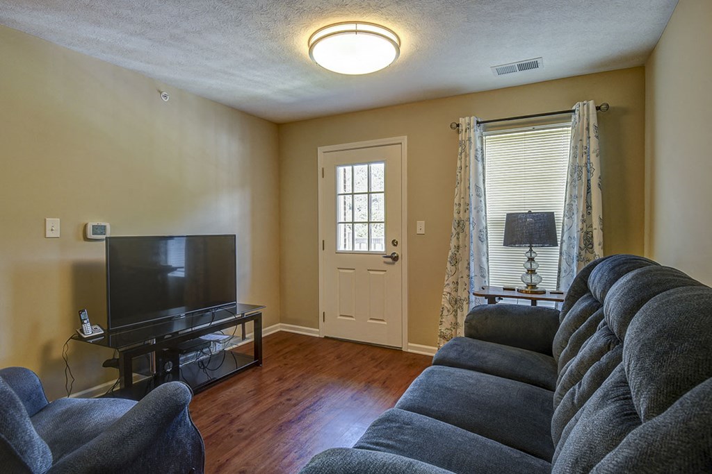 a living room with a couch and a television
