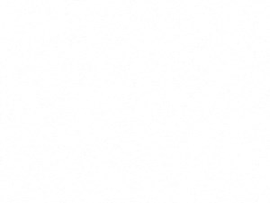 S2ANSI Balsam