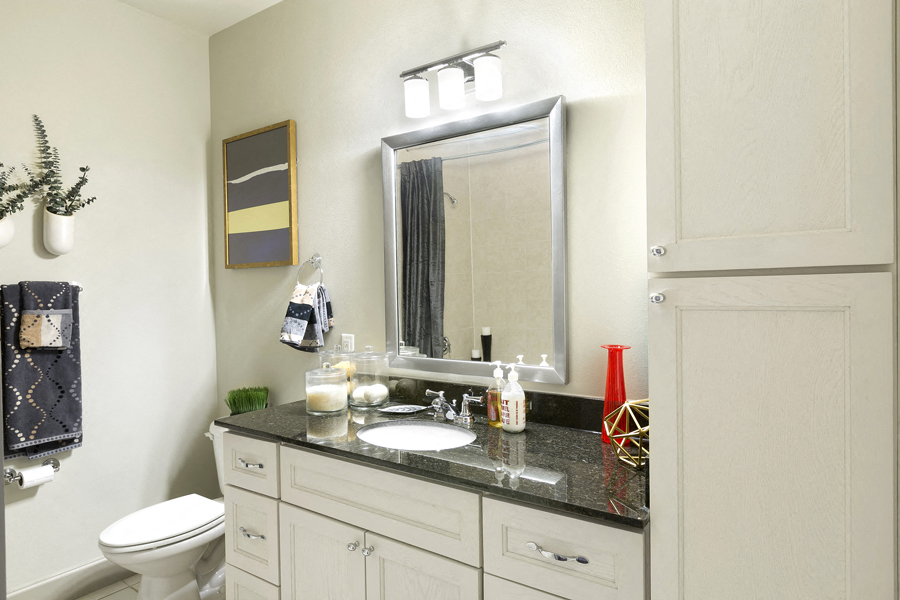 5th Street Commons A1 Model Bathroom