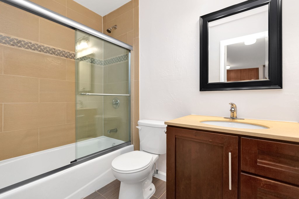a bathroom with a shower toilet and sink and a mirror