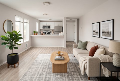 A living room with a couch, coffee table, and a potted plant.
