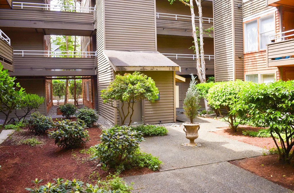 A courtyard with a fountain and a tree in front of apartment buildings.