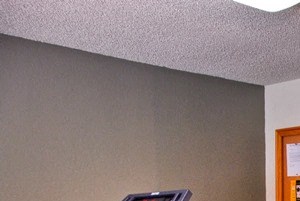 Pet Friendly Apartments San Leandro Pet Friendly Apartments San Leandro