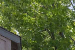 Cheap Apartments San Leandro Ca Cheap Apartments San Leandro Ca