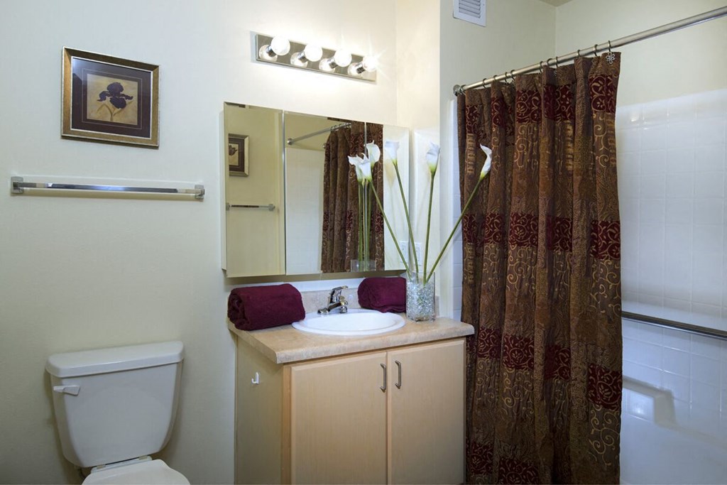 Burbank Senior Artists Colony Burbank, CA Model Bathroom