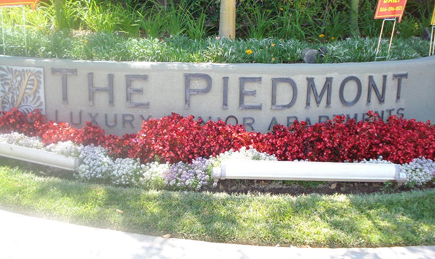 The Piedmont Senior Apartments Apartments in North Hollywood, CA