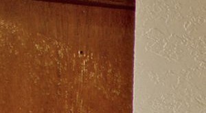 Image Result For Appartments In Denton Image Result For Appartments In Denton