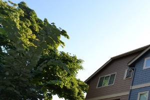 The Sequoia Apartments 1367 High St Eugene Or Rentcafe