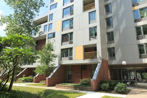 the building where the apartment is located