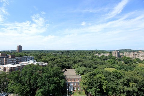 the view of the city from the roof of a building