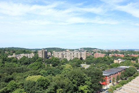 the view of the city from the roof of a building