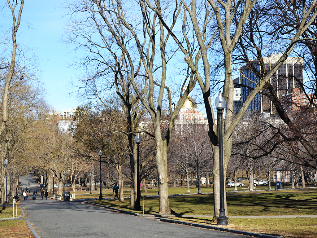 a path through a park in a city with tall buildings