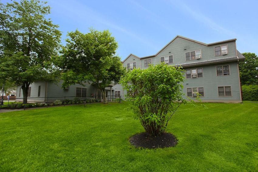 391 Main Street Studio-1 Bed Apartment, Affordable for Rent - Photo Gallery