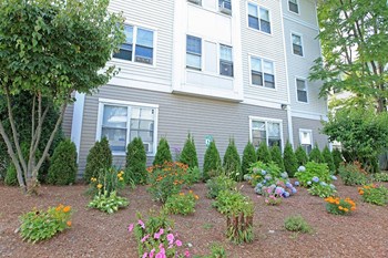 32 Kent Street Studio-3 Beds Apartment, Affordable for Rent - Photo Gallery 3