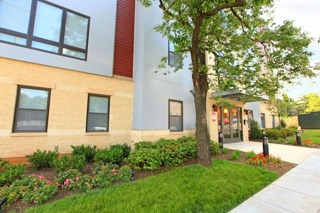 a building with a sidewalk and a tree in front of it