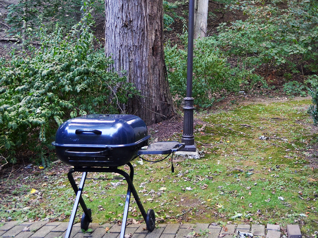 a barbecue grill in the grass next to a tree