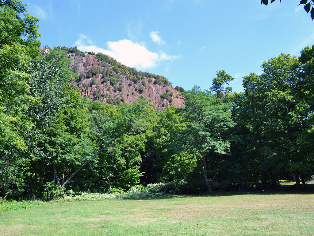 a grassy field with a mountain in the background