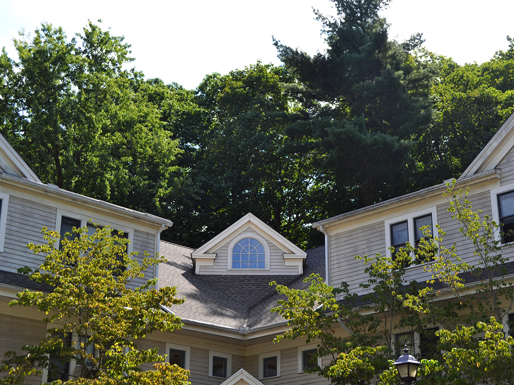 the roof of a house with trees in the background