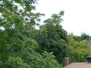 a gazebo with a house in the background