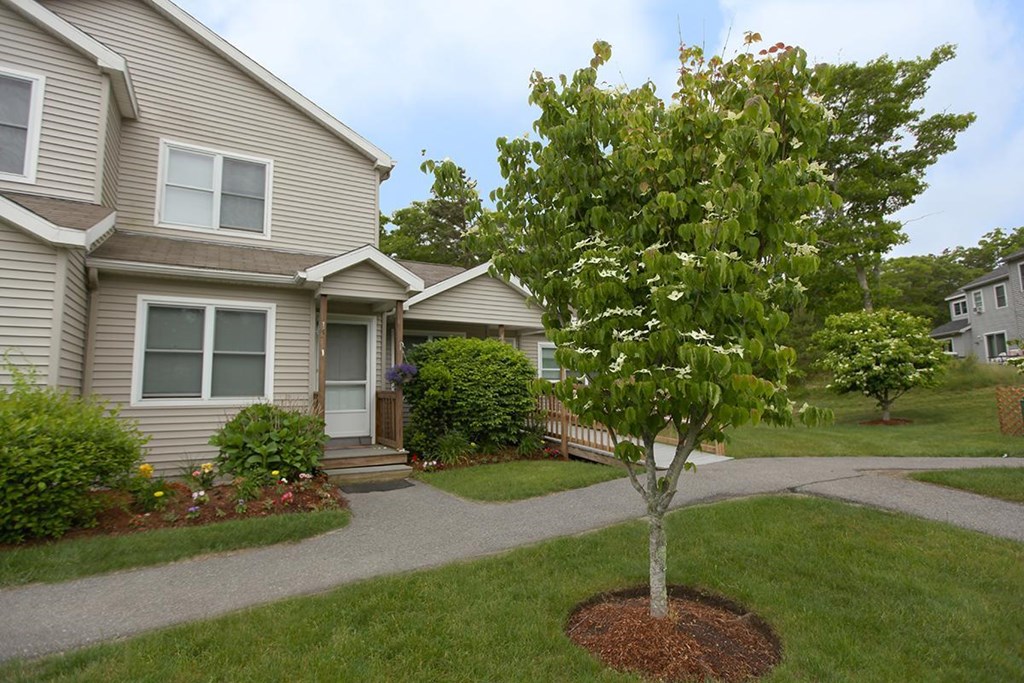 a tree in front of a house