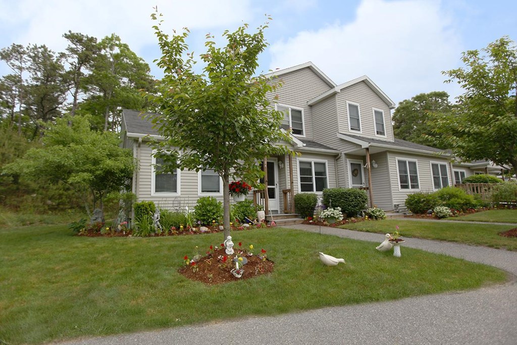 a house with a yard and a tree in front of it