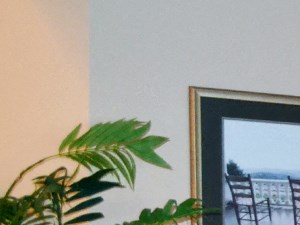 70 Lincoln Avenue 1 Bed Apartment for Rent - Photo Gallery