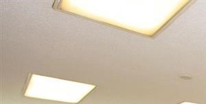 Apartments For Rent In Boston Roslindale Apartments For Rent In Boston Roslindale