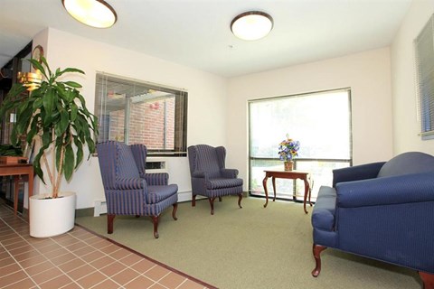 a living room with blue furniture and a plant