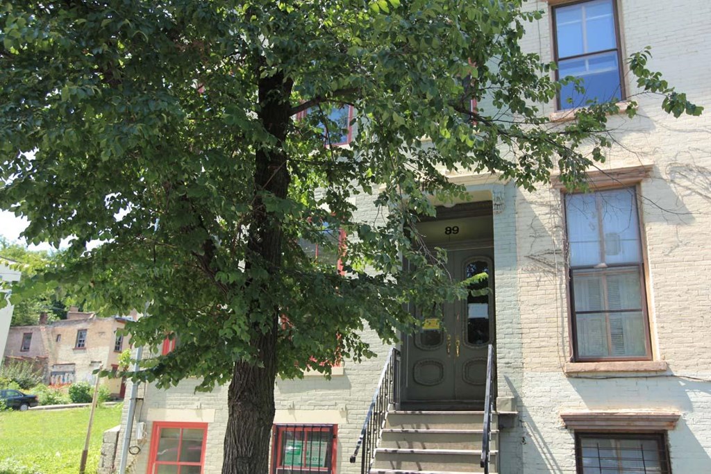 a house with a tree in front of it