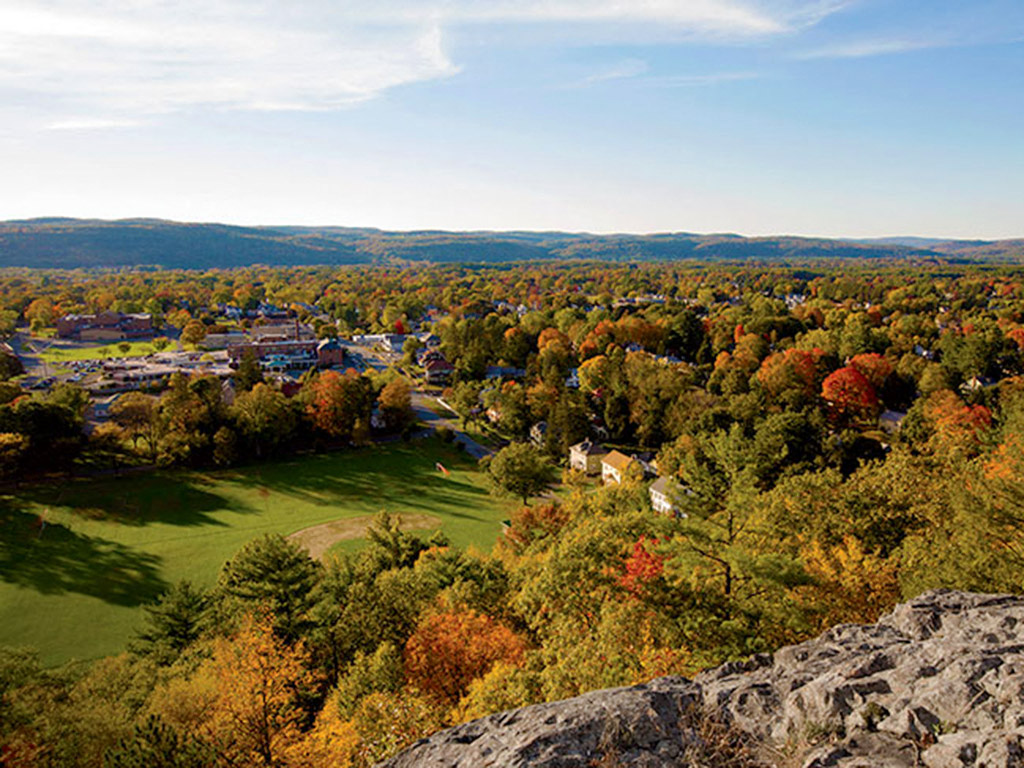 an aerial view of a park with trees and a green field