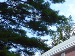24 Leyden Woods Lane 1-3 Beds Apartment, Affordable for Rent - Photo Gallery 2