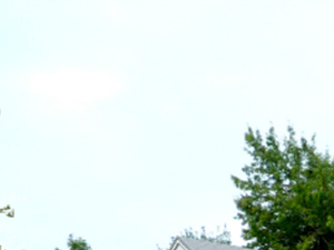 24 Leyden Woods Lane 1-3 Beds Apartment, Affordable for Rent - Photo Gallery 3