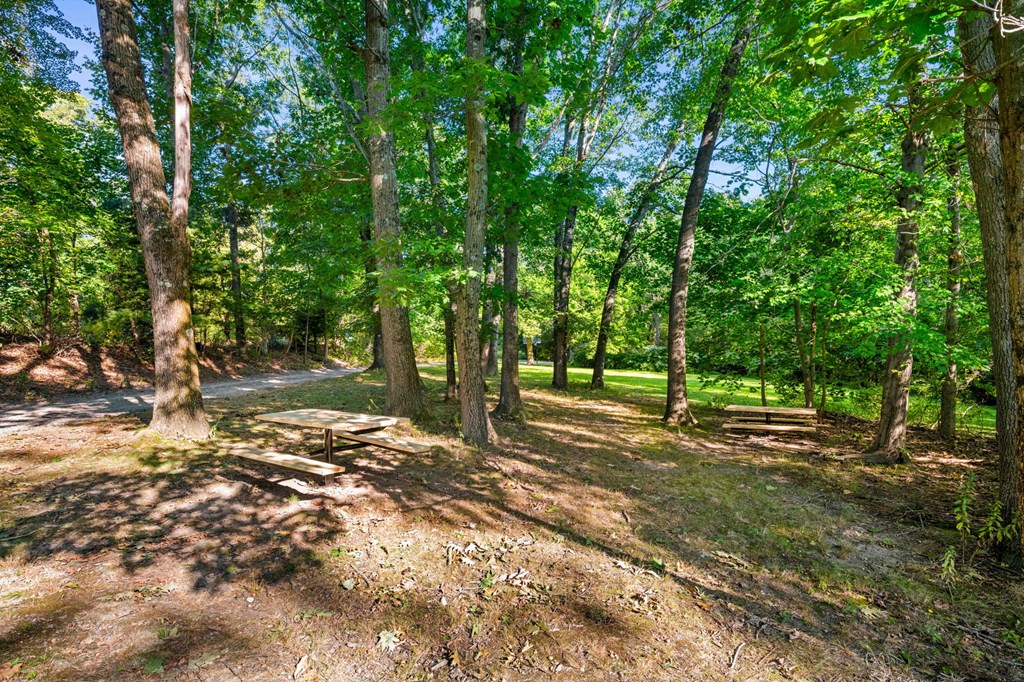 a wooded area with trees and a path