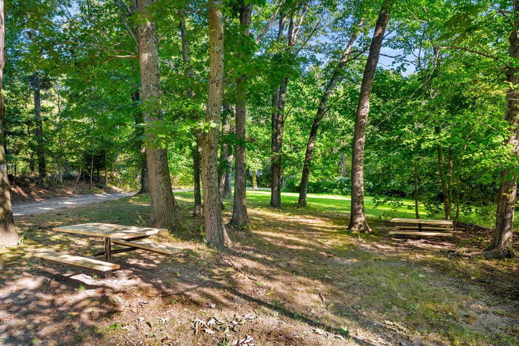 a campsite with a picnic table in the woods