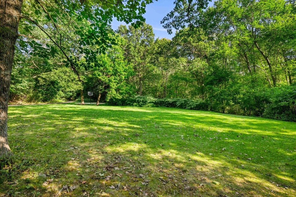 a large green field with trees in the background