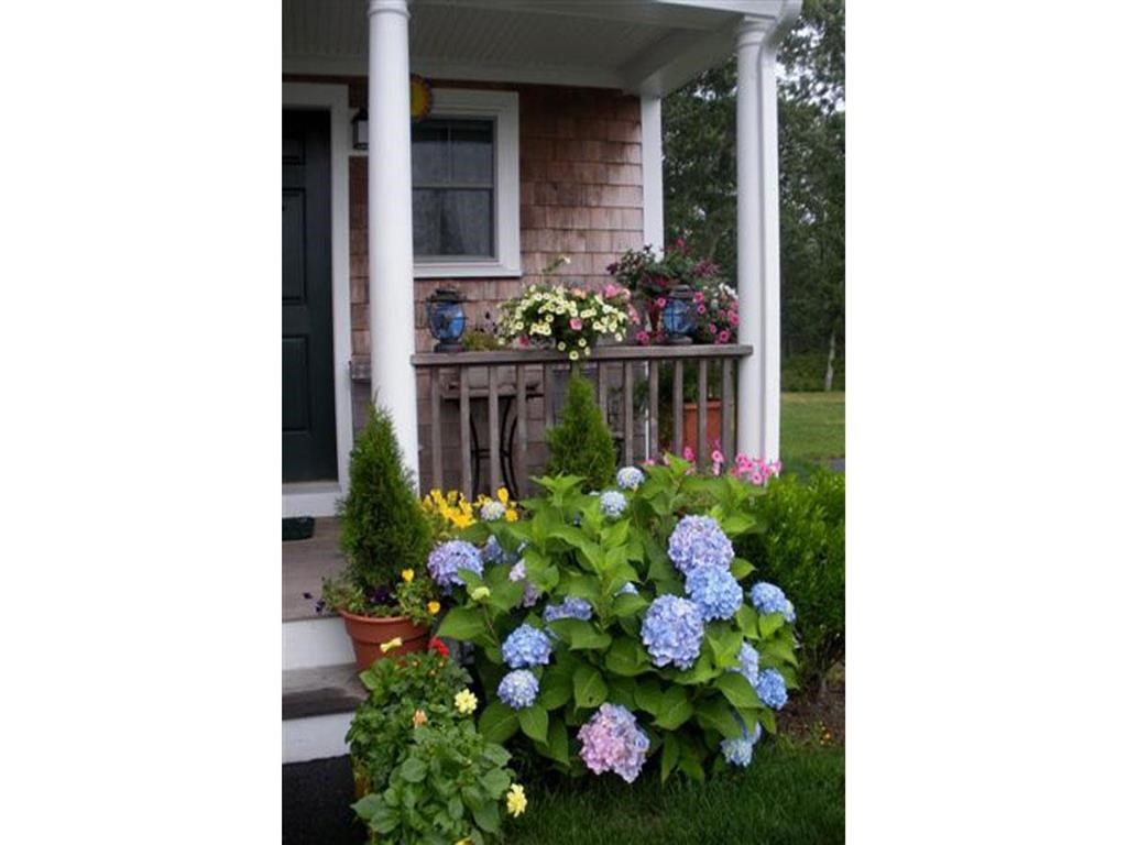 our flowers in front of the porch