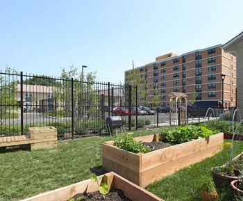 Oakley Square Apartments, 2333 W. Jackson Blvd., Chicago, IL - RentCafe