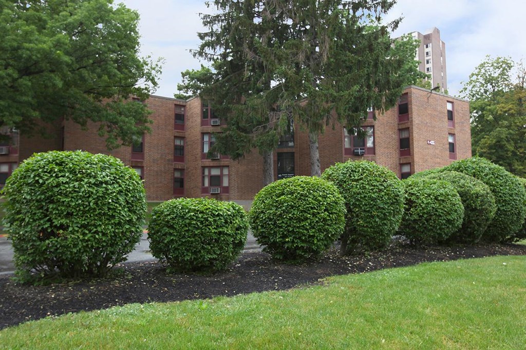 a row of bushes in front of a brick building
