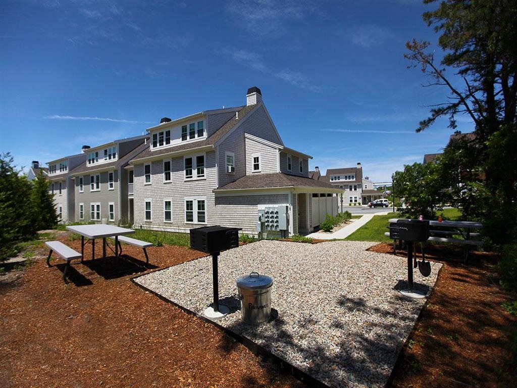 Photos and Video of Province Landing in Provincetown, MA