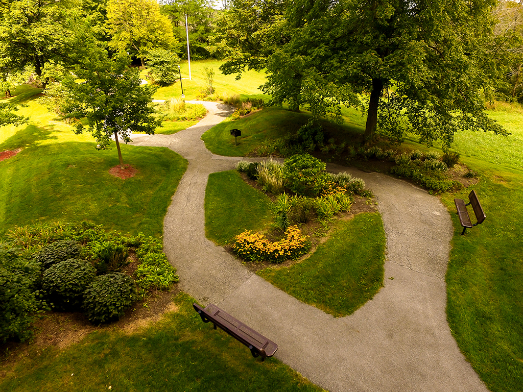 a park with a walking path and benches