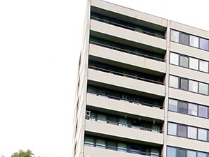 1 Thornwood Mall 1 Bed Apartment, Affordable for Rent - Photo Gallery 2