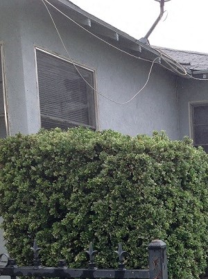 240 E 15th St 2 Beds Duplex/Triplex for Rent