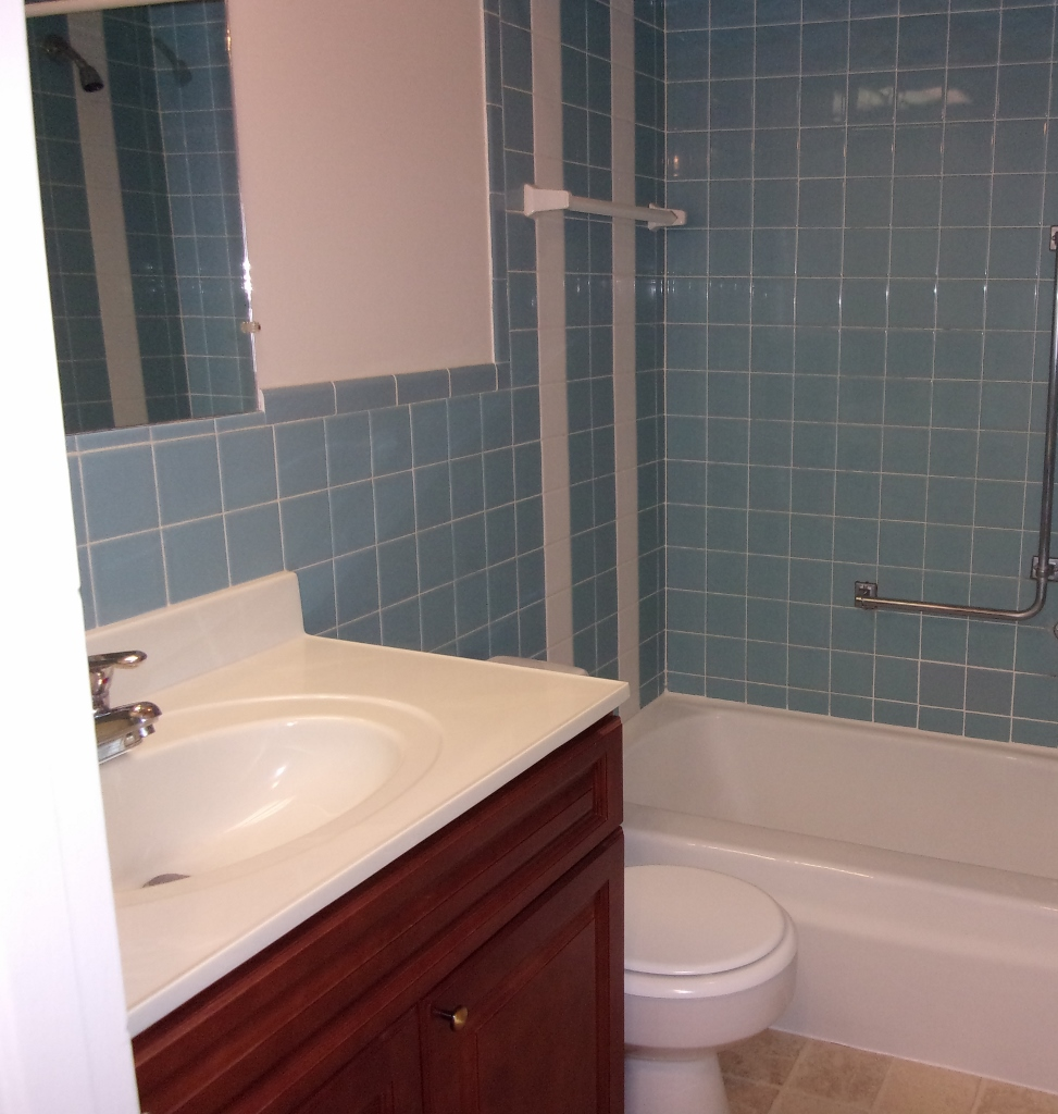 a bathroom with a sink and a toilet and a tub