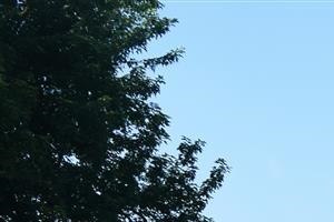 Louisville, KY Apartments | The Grove at Lyndon Photos