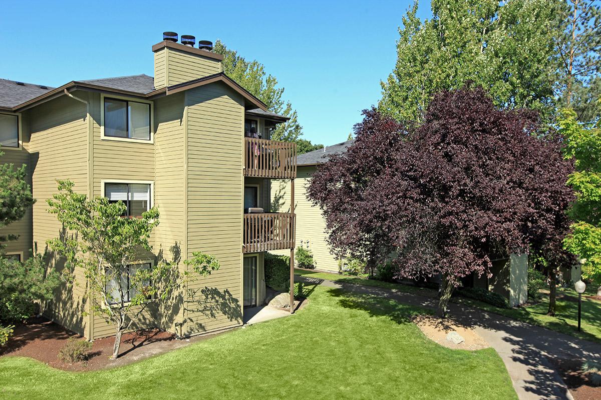 Building Exterior with Green Walkways, Trees and Grass