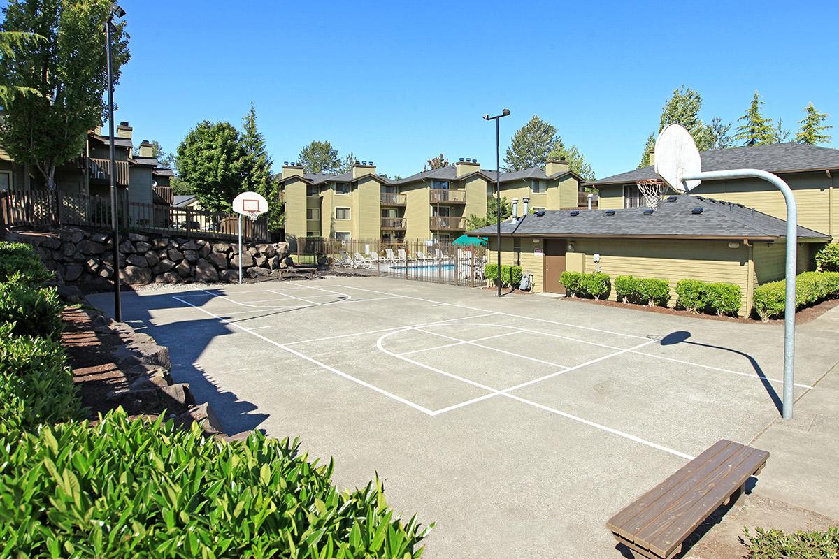Outdoor Basketball Court with Hoop, Trees and Bushes