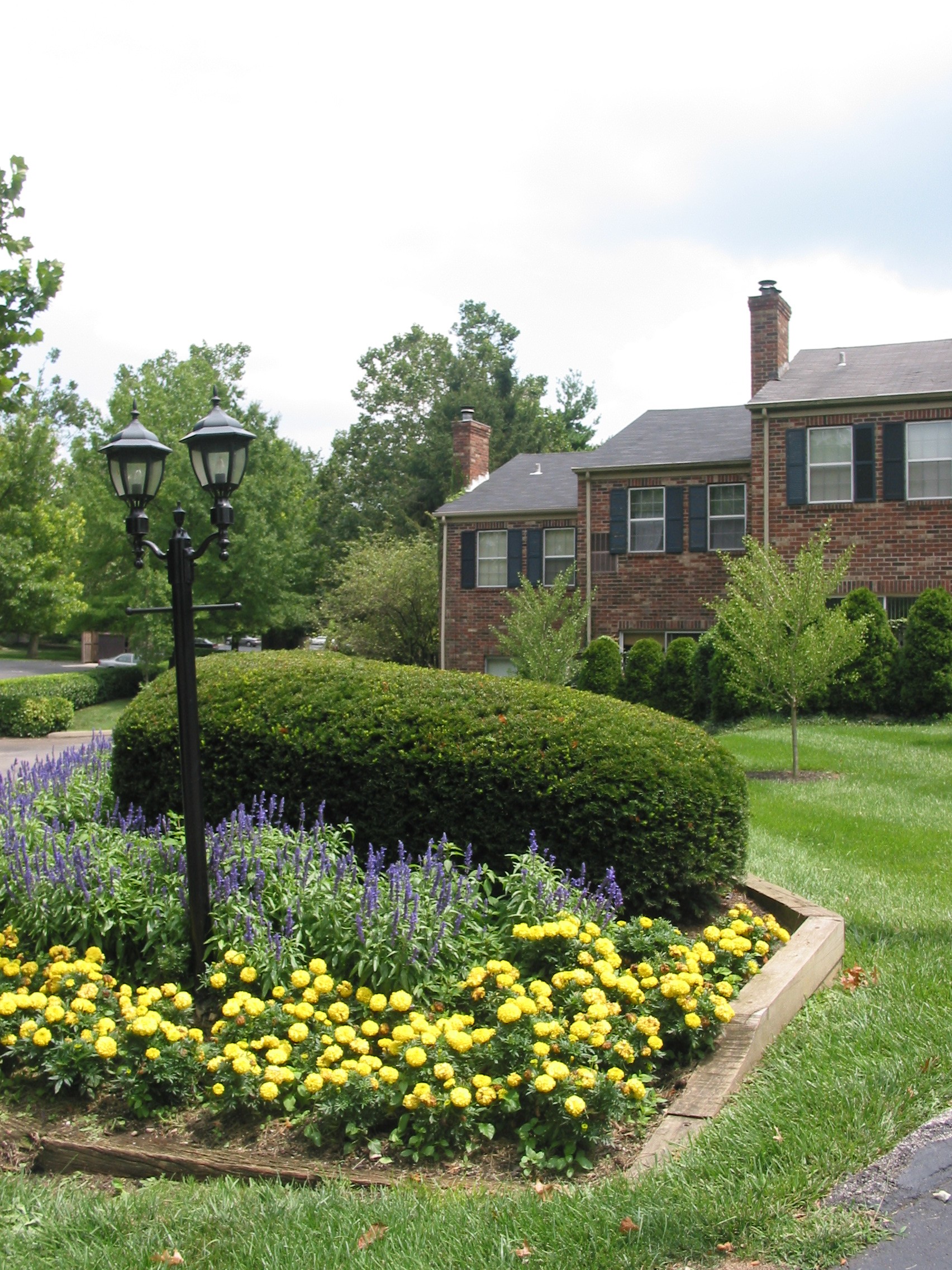 Merrick Place Apartments In Lexington Ky