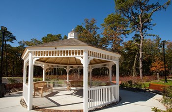 101 Veterans Blvd. 1-2 Beds Affordable Housing for Rent - Photo Gallery 6