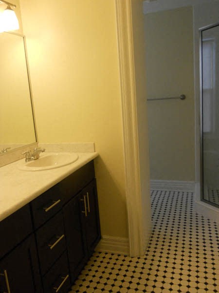 a bathroom with a sink and a shower