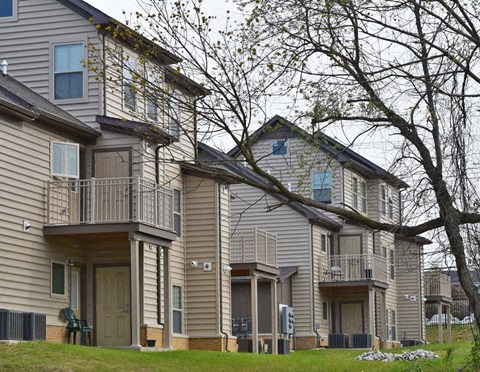 the exterior of a house with a yard and a tree
